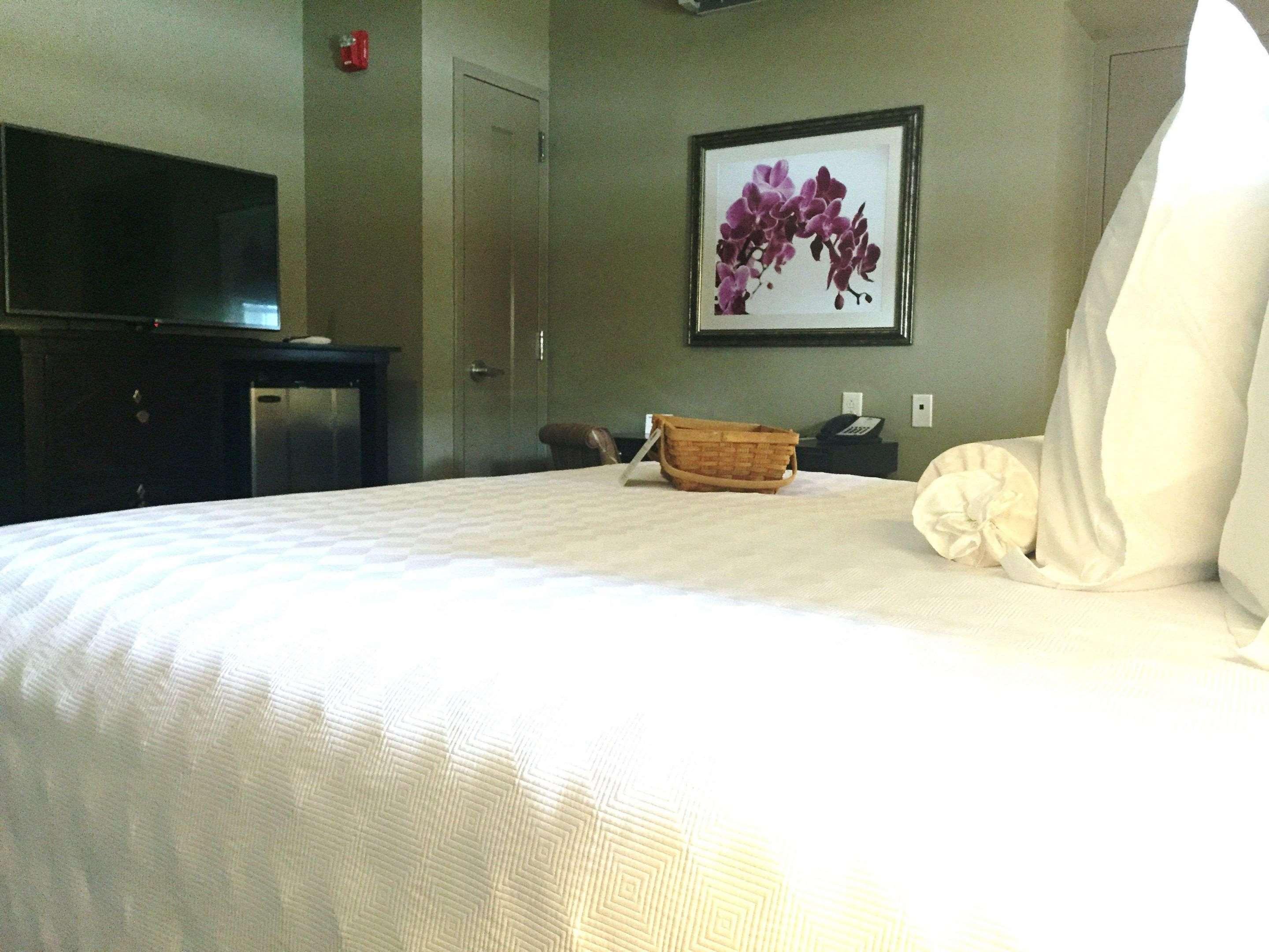 The Bolling Wilson Hotel Wytheville Eksteriør billede